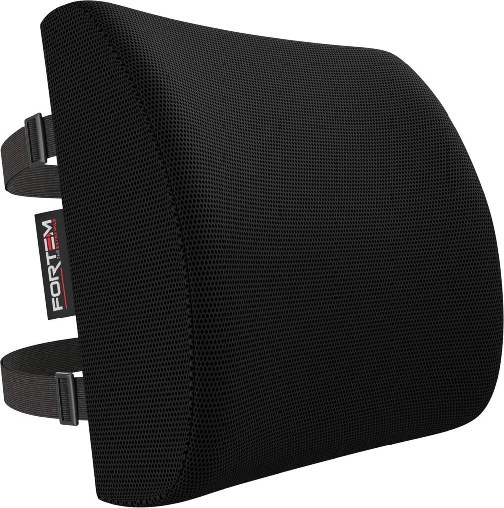 FORTEM Lumbar Support Cushion product photo