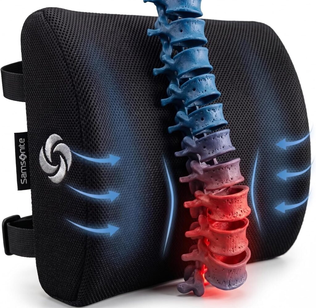Samsonite SA5243 Ergonomic Lumbar Support Pillow product photo